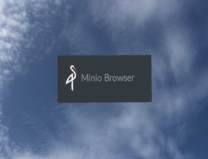 How to securely deploy minio S3 Object Storage with docker behind Apache2 on Ubuntu